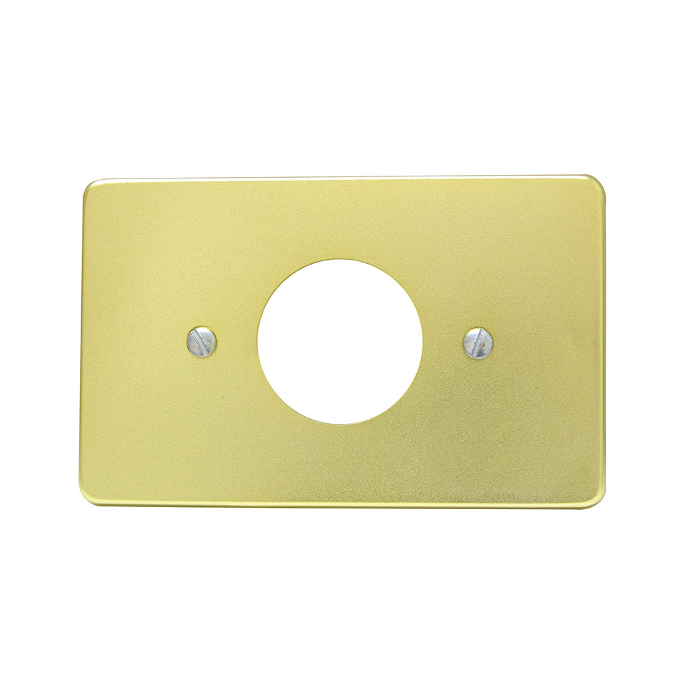 Placa sencilla alum std oro
