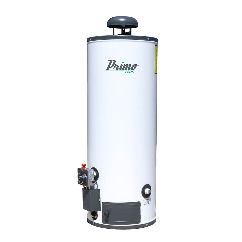 IUSA - Calentador de depósito Primo Plus 60 L, gas natural, IUSA