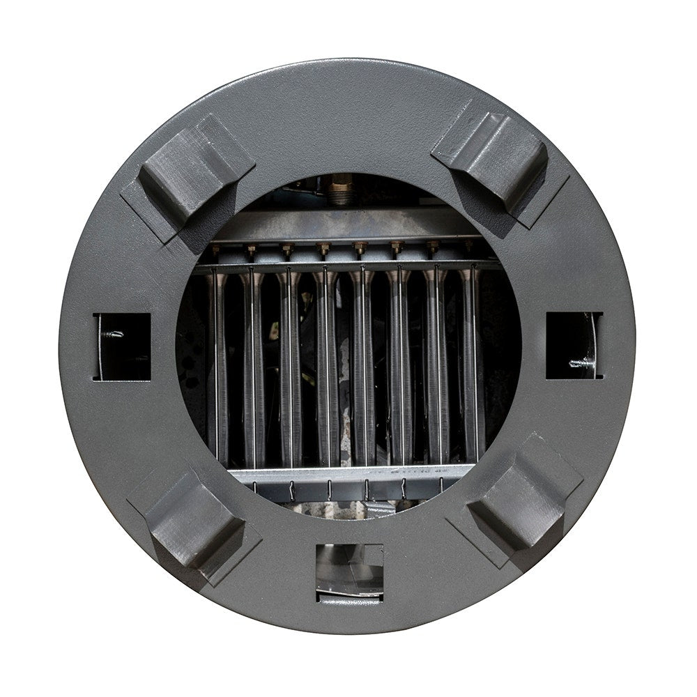 IUSA - Calentador de paso Primo Plus, 6 L/min, gas L.P., IUSA