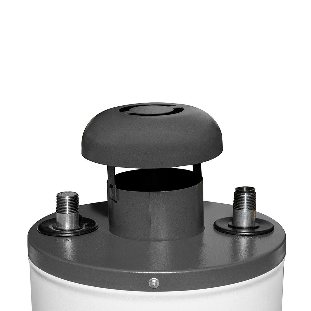 IUSA - Calentador de paso Primo Plus, 6 L/min, gas L.P., IUSA