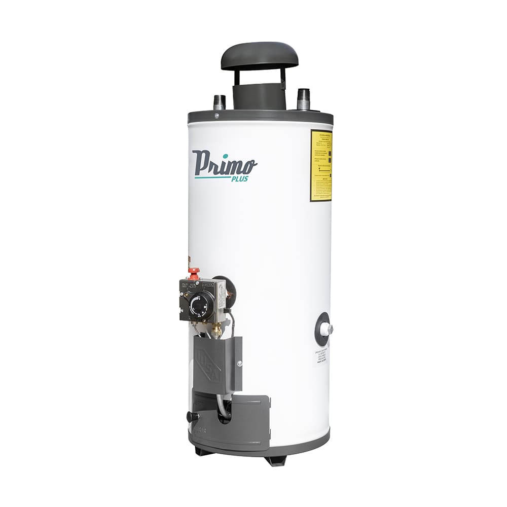 IUSA - Calentador rápida recuperación Primo Plus, 8 L, gas natural, IUSA