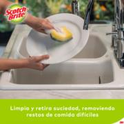 3M - Mi Fibra Esponja 3M Scotch Brite Mediana Paq C/12