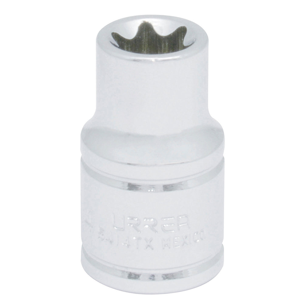 Dado torx hemb 1/2 in E14
