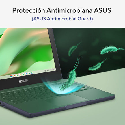 ASUS - Laptop Asus Chromebook CR1104FTA-C8G64-C1 11.6" HD Táctil Intel N150 8GB 64GB EMMC ChromeOS Gris Incluye Stylus