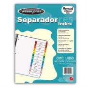 ACCO - Separador Acco Wilson Jones Mensual Carta Cejas de Colores