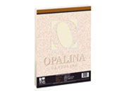 FACIA VISION - Cartulina Opalina Facia Carta Marfil C/100 225GR