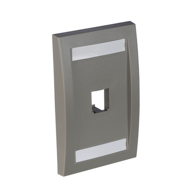 PANDUIT - Placa de Pared Vertical Ejecutiva, Salida Para 1 Puerto Mini-Com, Con Espacios Para Etiquetas, Color Gris