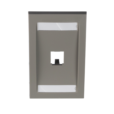 PANDUIT - Placa de Pared Vertical Ejecutiva, Salida Para 1 Puerto Mini-Com, Con Espacios Para Etiquetas, Color Gris