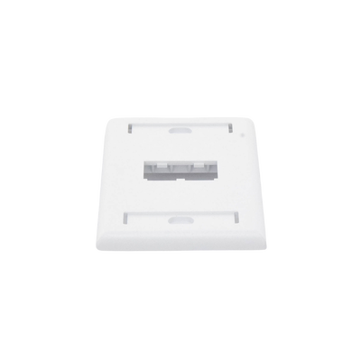 PANDUIT - Placa de Pared Vertical Clásica, Salida Para 2 Puertos Mini-Com, Con Espacios Para Etiquetas, Color Blanco