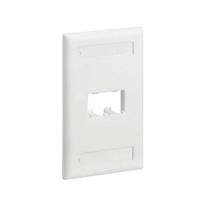 PANDUIT - Placa de Pared Vertical Clásica, Salida Para 2 Puertos Mini-Com, Con Espacios Para Etiquetas, Color Blanco