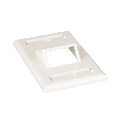 PANDUIT - Placa de Pared Vertical Clásica, Salida Para 2 Puertos Mini-Com Inclinados, Con Espacios Para Etiquetas, Color Blanco Mate