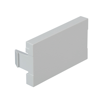 PANDUIT - Módulo de Tapa Ciega (Inserto Ciego), de 1/3, Color Blanco, 1 Pieza