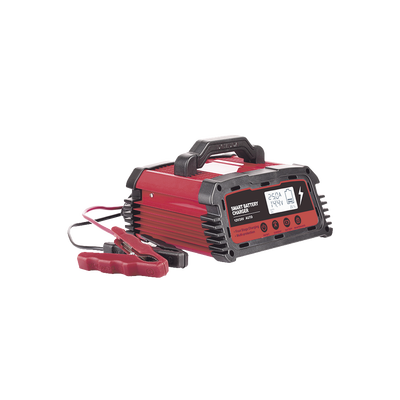 EPCOM POWERLINE - Cargador de Baterías / 12 o 24 Vcc / hasta 250 Ah / 25 A / Display LCD