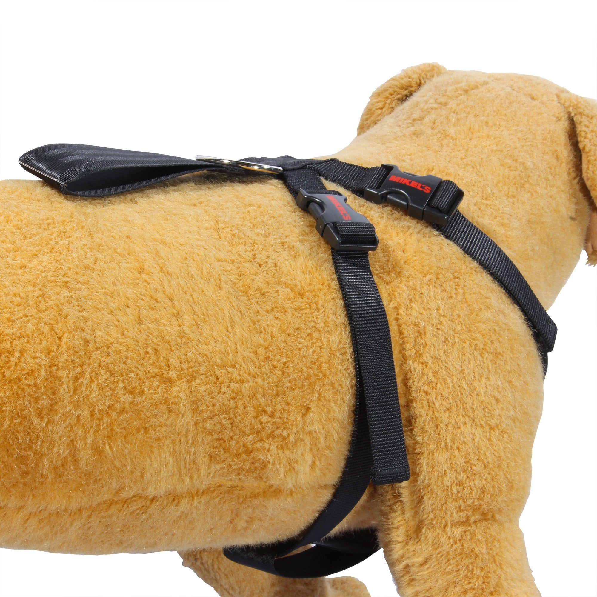 Cinturón de seguridad para mascotas