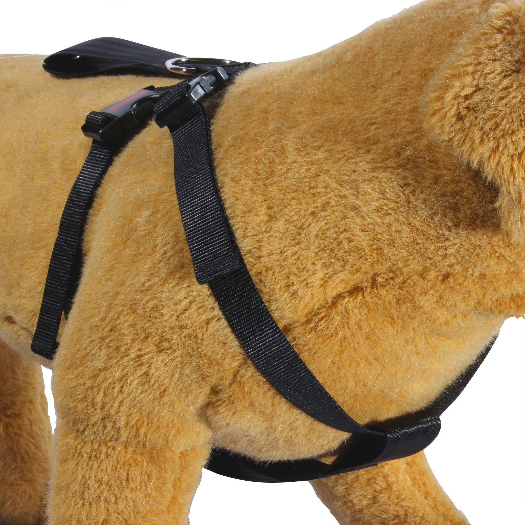Cinturón de seguridad para mascotas