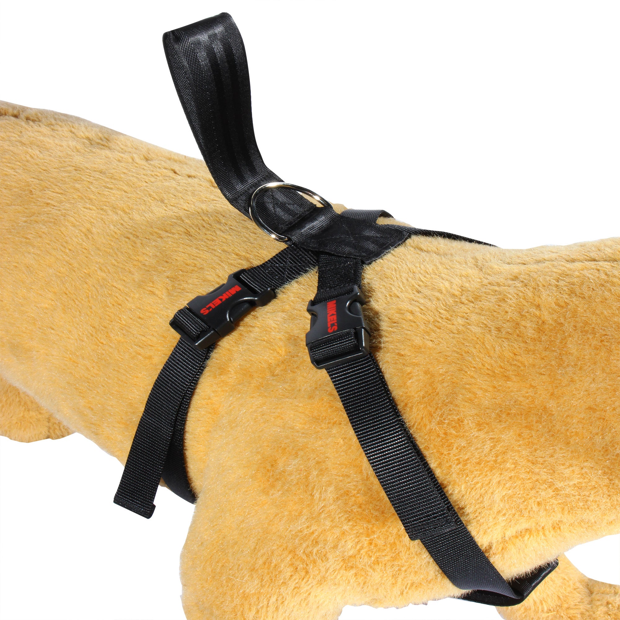 Cinturón de seguridad para mascotas