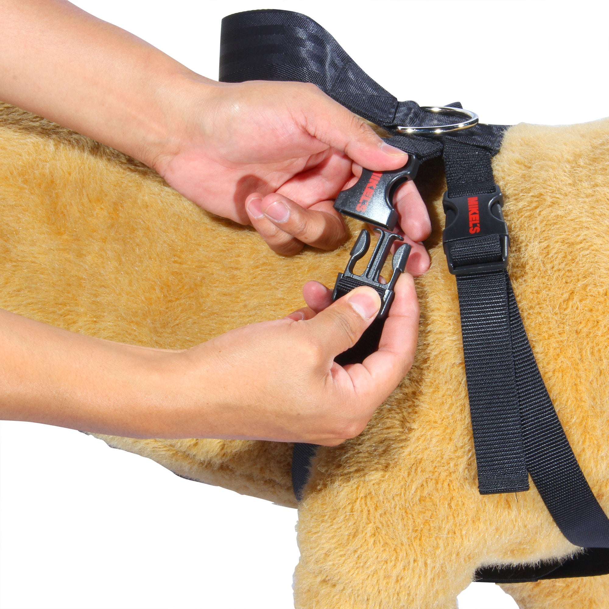 Cinturón de seguridad para mascotas