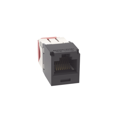 PANDUIT - Conector Jack RJ45 Estilo TG, Mini-Com, Categoría 5e, de 8 Posiciones y 8 Cables, Color Negro