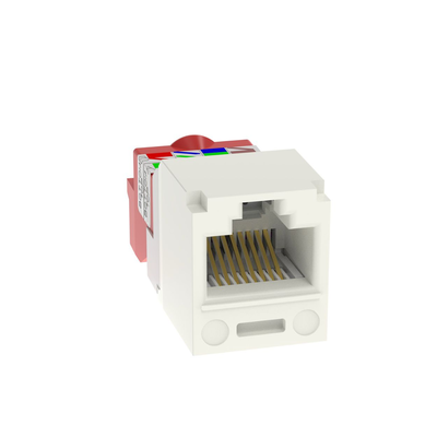 PANDUIT - Conector Jack RJ45 Estilo T, Mini-Com, Categoría 5e, de 8 posiciones y 8 cables, Color Blanco Mate