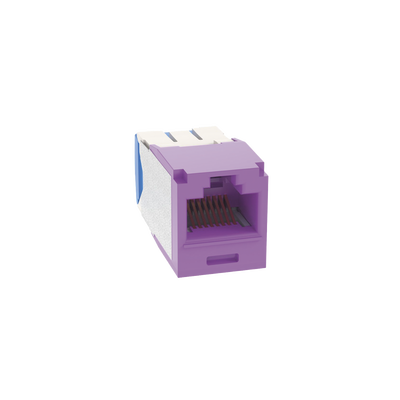 PANDUIT - Conector Jack RJ45 Estilo TG, Mini-Com, Categoría 6A, de 8 Posiciones y 8 Cables, Color Violeta