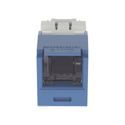 PANDUIT - Conector Jack RJ45 Estilo TG con Ventana, Mini-Com, Categoría 6, de 8 Posiciones y 8 Cables, Color Azul