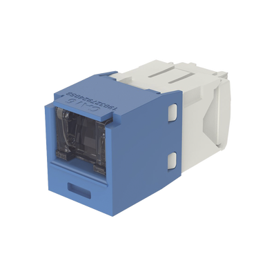 PANDUIT - Conector Jack RJ45 Estilo TG con Ventana, Mini-Com, Categoría 6, de 8 Posiciones y 8 Cables, Color Azul