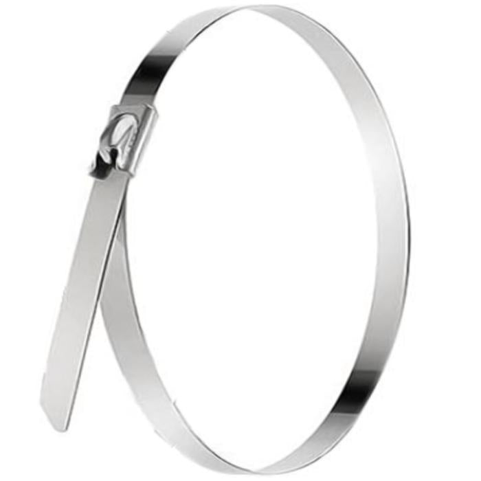 LINKEDPRO - Cinchos de Acero 304 Inoxidable con Sistema de Autobloqueo Seguro / Uso en Interior y Exterior  / 4.6 × 300 mm / Paquete con 100 Piezas