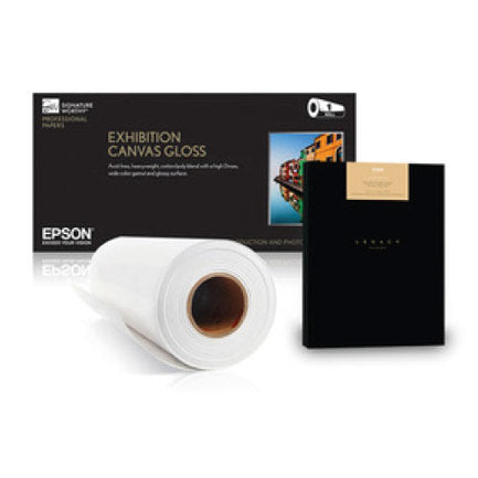 EPSON - Papel Epson 4x6" Fotografico Gloss 225 DS 800 Hojas