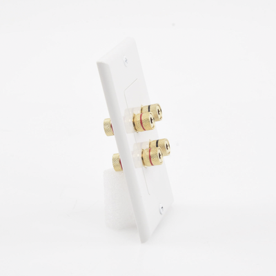 EPCOM PROAUDIO - Placa de Pared | Postes de Unión Tipo Banana | Conexión para 2 Altavoces | Fácil Instalación | Conectores Chapados en Oro