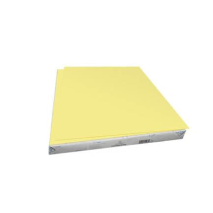 EUROMAC - CARTULINA EUROMAC BRISTOL AMARILLA 50X65 PQT/100H