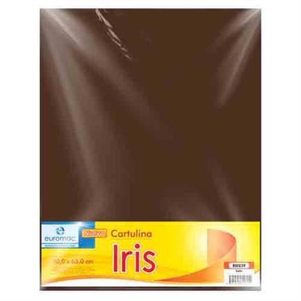 EUROMAC - CARTULINA EUROMAC IRIS CAFE 50X65CM C/10