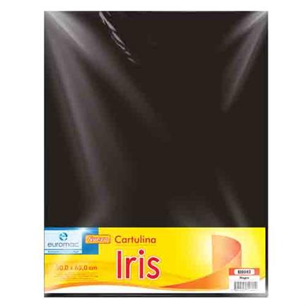 EUROMAC - CARTULINA EUROMAC IRIS NEGRO 50X65CM C/10