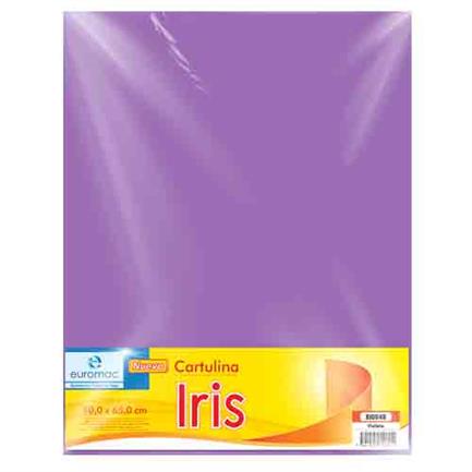 EUROMAC - CARTULINA EUROMAC IRIS VIOLETA 50X65CM C/10