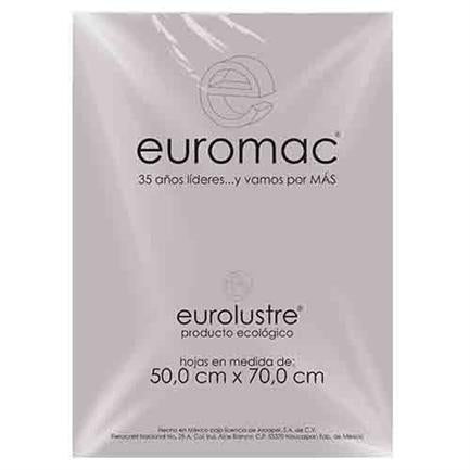 EUROMAC - Papel Lustre Euromac 50x70" Gris 25 Hojas