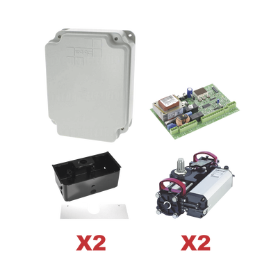 FAAC - Kit de Operadores Subterraneos FAAC S800 a 115V Para Puertas Abatibles / Para Puertas de Hasta  2 Metros y  800 Kg