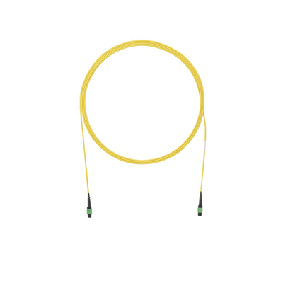 PANDUIT - Cable de Interconexión de 12 Fibras Ópticas Monomodo OS2, de PanMPO Hembra a PanMPO Hembra, Polaridad A, LSZH, de 1.5 Metros (4.92 Pies)