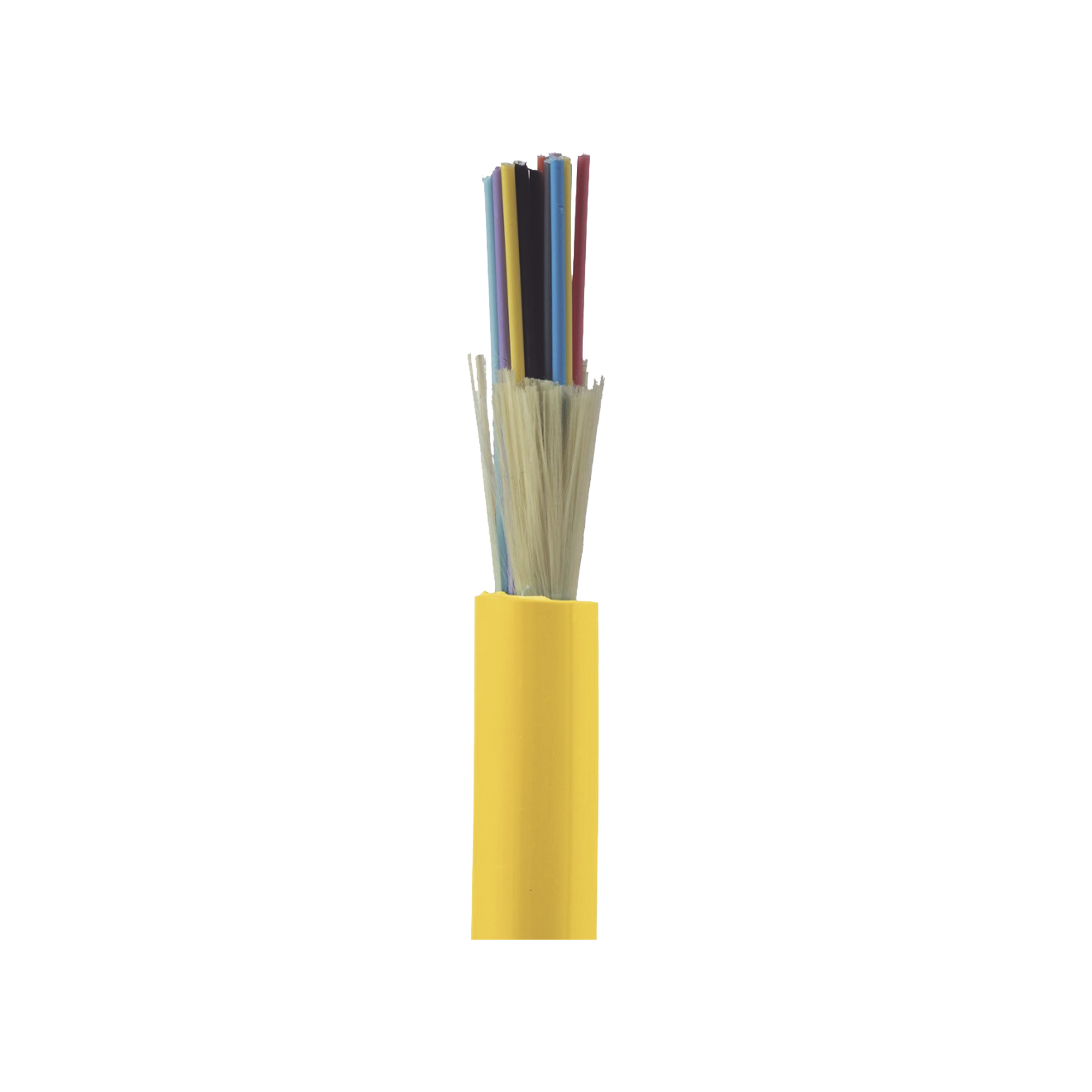 PANDUIT - Cable de Fibra Óptica de 24 Hilos, Monomodo OS2 9/125, Interior, Tight Buffer 900um, No Conductiva (Dieléctrica), LSZH, Precio Por Metro