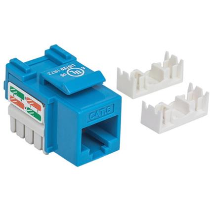 INTELLINET - Jack Intellinet Cat 6 de Impacto(Keystone) Color Azul