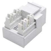 INTELLINET - Jack Intellinet RJ11/RJ12 de Impacto Color Blanco