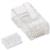INTELLINET - Plug Intellinet RJ45 Cat 6 UTP Sólido Bote C/100 Pzas
