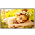 LG ELECTRONICS - Pantalla LG 43UL5Q 43 pulgadas 3840 x 2160 UHD 16 Hours 7 Days 500 nits