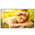 LG ELECTRONICS - Pantalla LG 75UL5Q 75 pulgadas 3840 x 2160 UHD 16 Hours 7 Days 500 nits