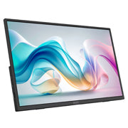 MSI - Monitor Portatil MSI PRO MP165 E6 LED 15.6 1920x1080 Full HD 60Hz HDMI Bocinas Integradas