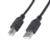 MANHATTAN - Cable Manhattan USB B Alta Velocidad 2.0 A-B3m Color Negro