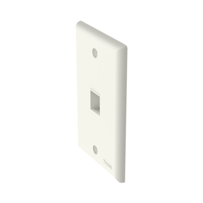 PANDUIT - Placa de Pared Vertical, Salida Para 1 Puerto Keystone, Color Blanco Mate