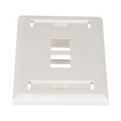 PANDUIT - Placa de Pared Vertical, Salida Para 2 Puertos Keystone, Con Espacios Para Etiquetas, Color Blanco Mate