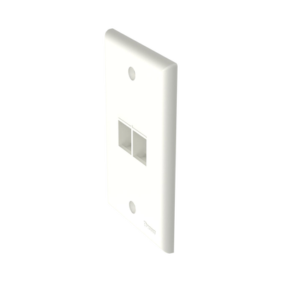 PANDUIT - Placa de Pared Vertical, Salida Para 2 Puertos Keystone, Color Blanco Mate