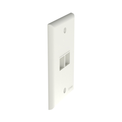 PANDUIT - Placa de Pared Vertical, Salida Para 2 Puertos Keystone, Color Blanco Mate