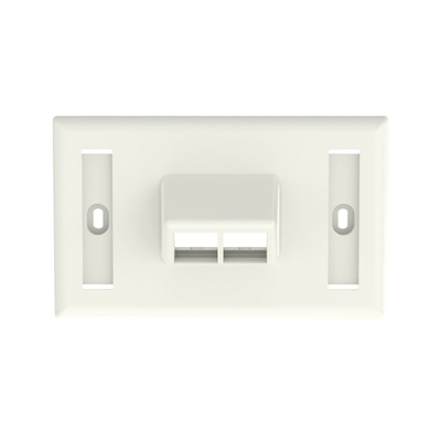 PANDUIT - Placa de Pared Horizontal, Salida Para 2 Puertos Keystone, Con Espacios Para Etiquetas, Color Blanco Mate