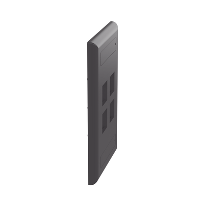 PANDUIT - Placa de Pared Vertical, Salida Para 4 Puertos Keystone, Con Espacios Para Etiquetas, Color Negro